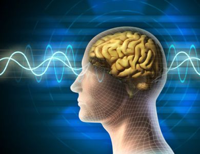NHỮNG LOẠI THỰC PHẨM TỐT CHO TRÍ NÃO VÀ CÔNG DỤNG CỦA CHÚNG
